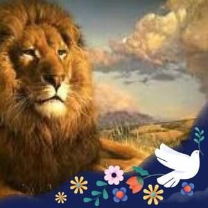 Meet your Posher, Misti